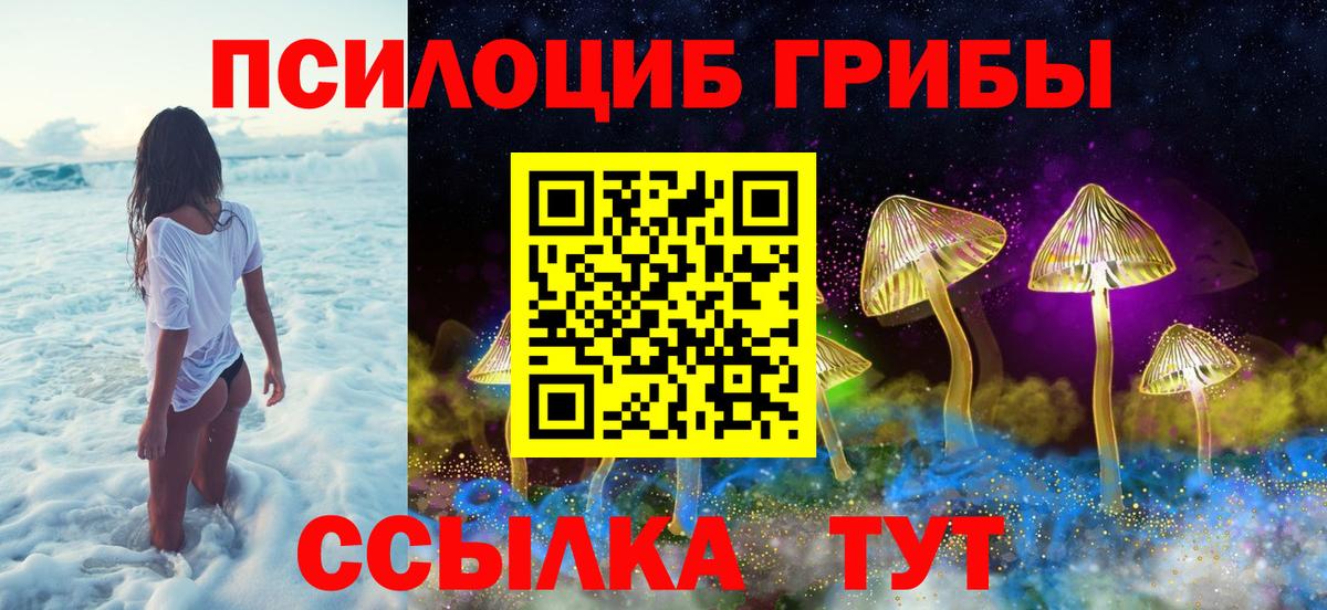 Псилоцибиновые грибы GOLDEN TEACHER  Вход с VPN  Зеленодольск 