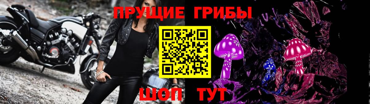 Псилоцибиновые грибы Psilocybine cubensis Зеленодольск